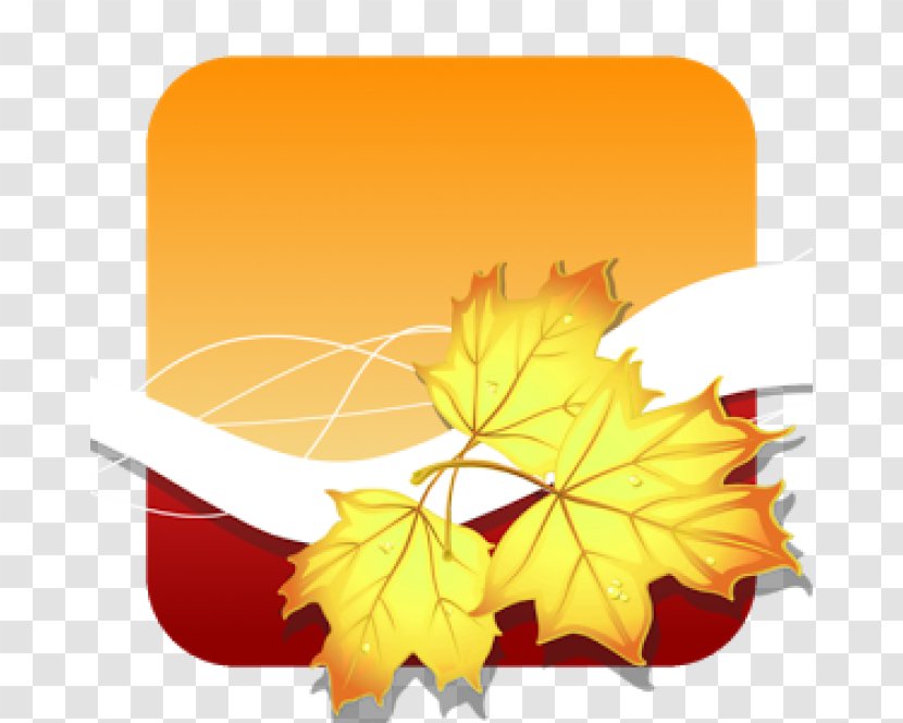 Link Free Android App Store Photography - Apple Transparent PNG