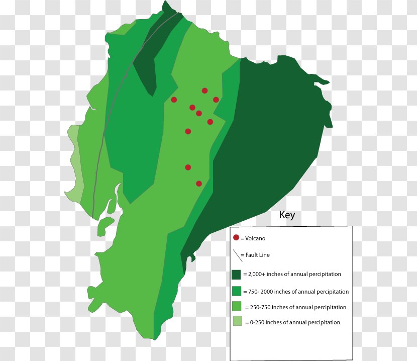 Ecuador Royalty-free - Vector Map - Uruguay Foot Transparent PNG