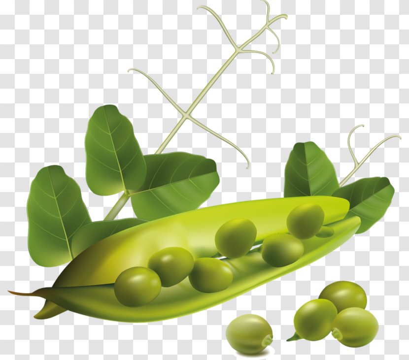 Snap Pea Vegetable Clip Art - Bell Pepper Transparent PNG
