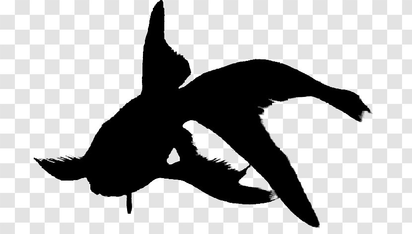 Bird Silhouette - Wing - Logo Blackandwhite Transparent PNG