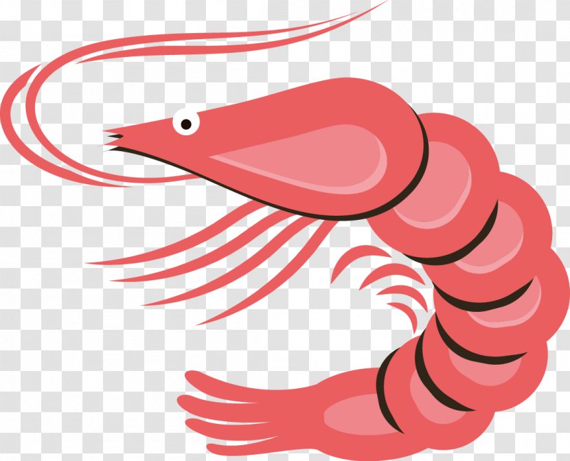 Seafood Caridea Shrimp - Tree - Hand-painted Cartoon Lobster Transparent PNG