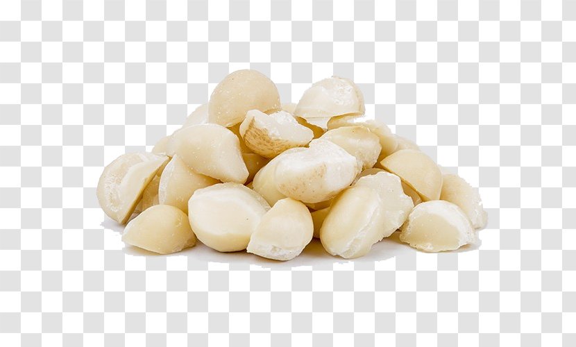 Macadamia Nut Commodity - Food Transparent PNG