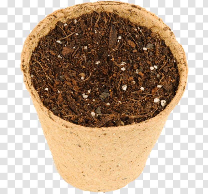 Soil Flowerpot - Stenocereus Eruca Transparent PNG