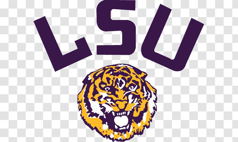 Louisiana State University LSU Tigers Football Men's Basketball Southeastern Conference Women's Soccer - Organism - Swimming Training Transparent PNG