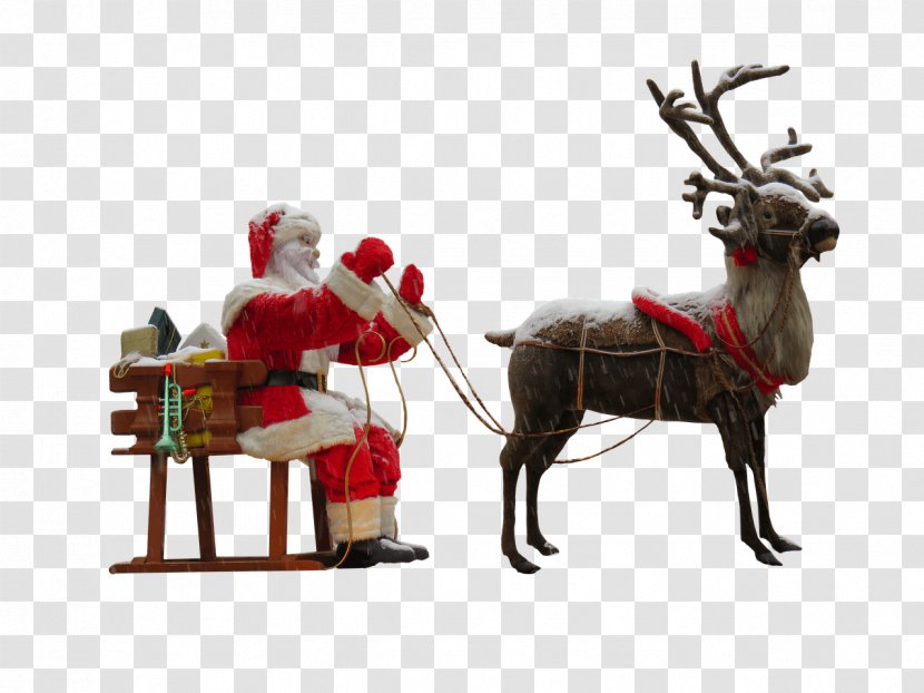 Santa Claus's Reindeer Christmas - Deer Transparent PNG