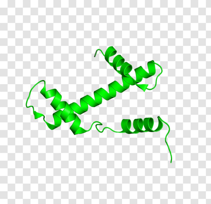 Green Logo Clip Art - Organism - Design Transparent PNG