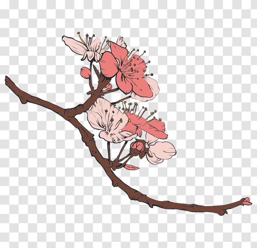 Cherry Blossom Floral Design - Artwork Transparent PNG