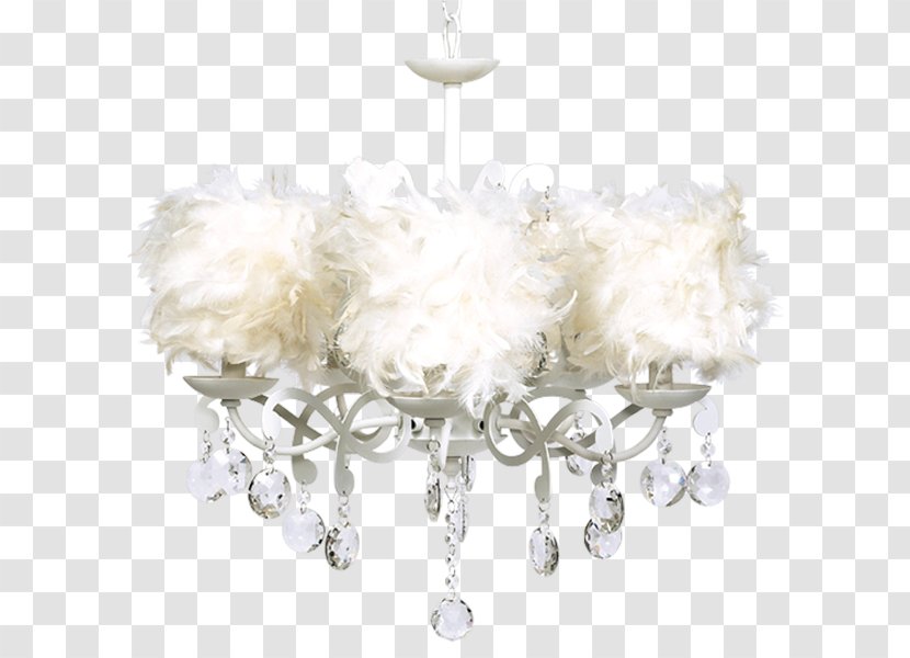 Chandelier Light Fixture White Ceiling - Feather Transparent PNG