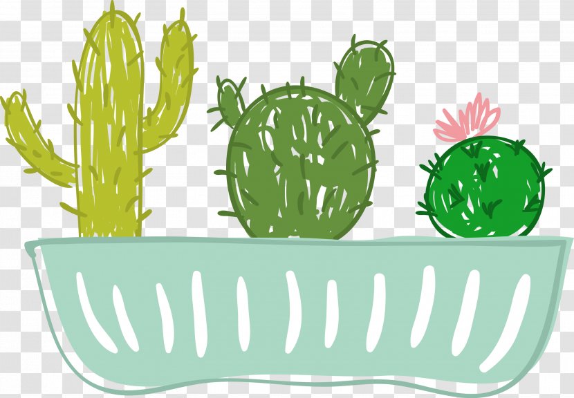 Cactus Illustration Graphics Drawing Flowerpot - Penjing - Potted Transparent PNG