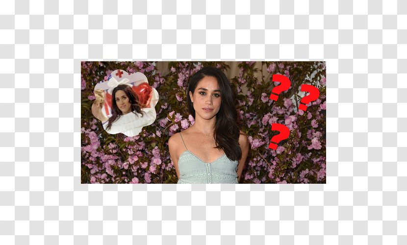Wedding Of Prince Harry And Meghan Markle Suits Engagement Actor - Frame Transparent PNG