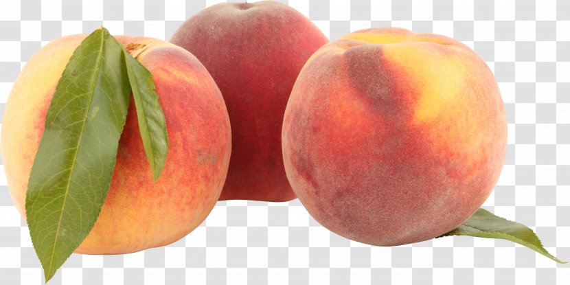Nectarine Fruit Ripening Food - Apple - Peach Image Transparent PNG
