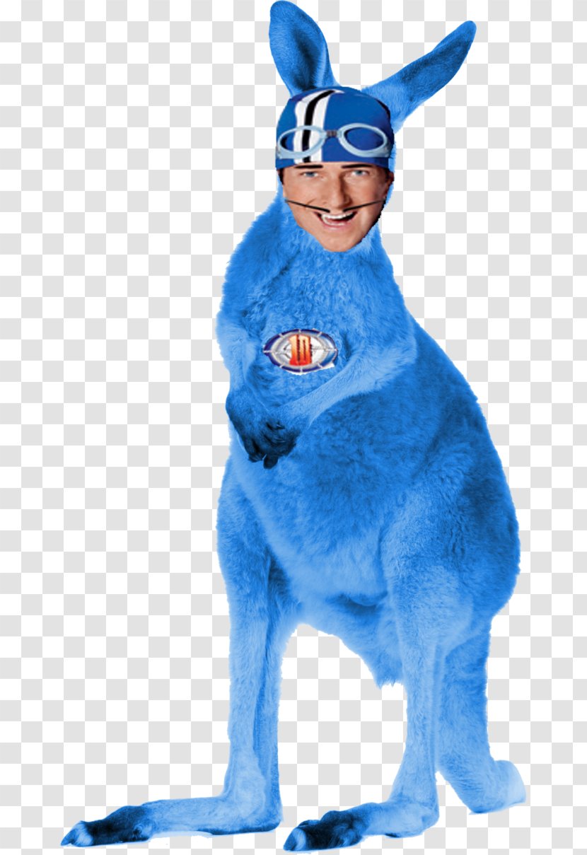 Red Kangaroo Domestic Rabbit Koala - Blue Transparent PNG