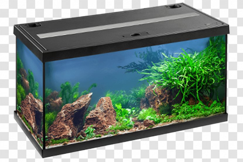 Aquarium Eheim Fishkeeping Light-emitting Diode Acuario Aberiak Transparent PNG