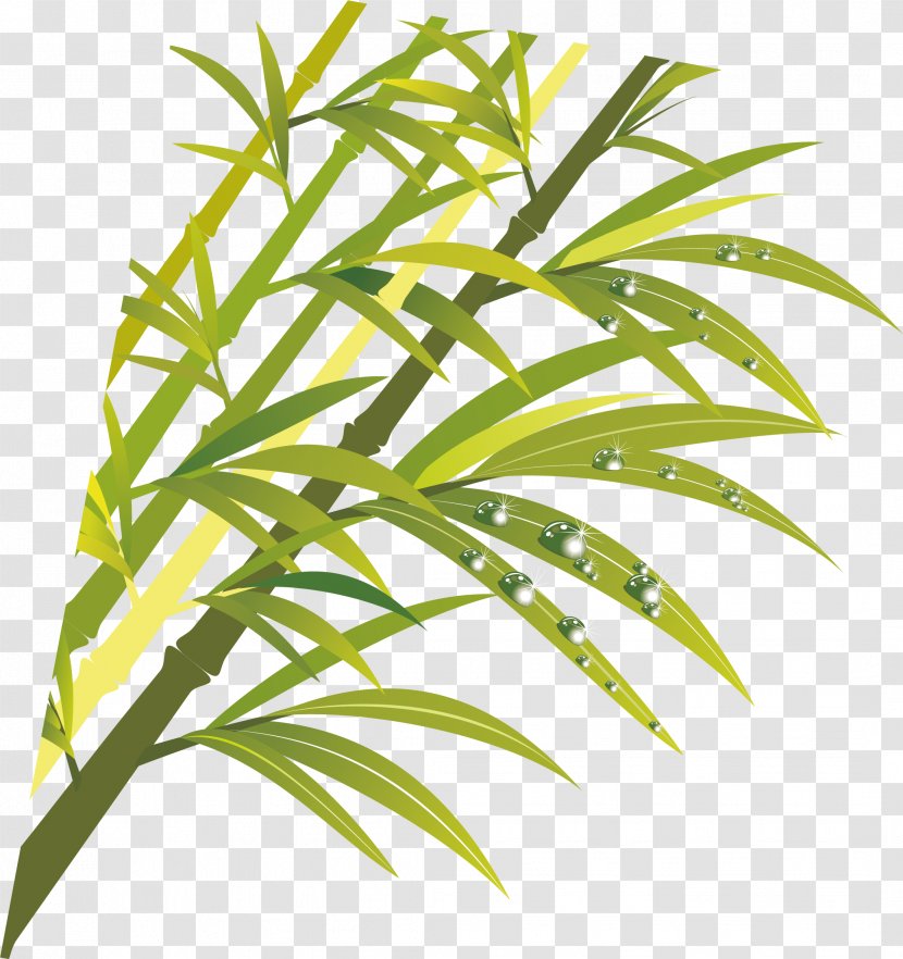 Bamboo ArtWorks - Palm Tree - Vector Element Transparent PNG
