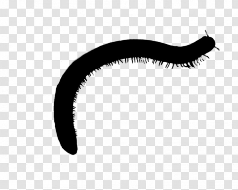 Invertebrate Font Eyelash Line Black M - Eye Transparent PNG