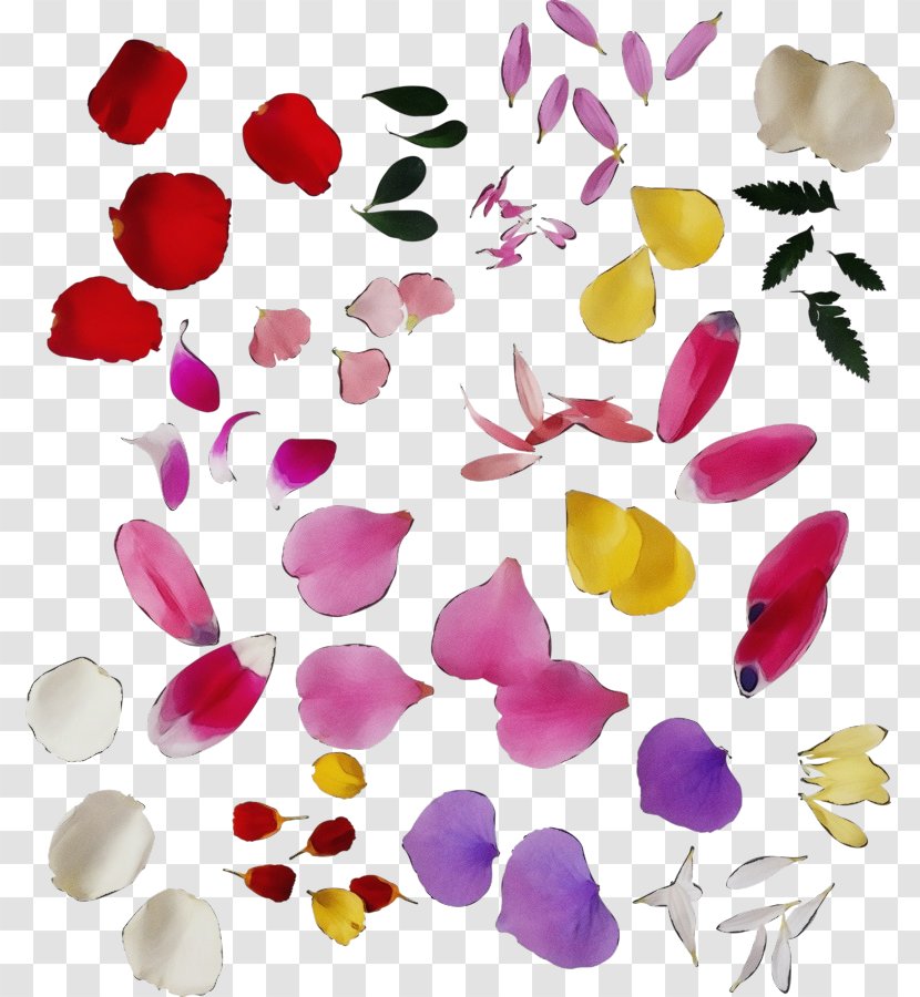 Purple Watercolor Flower - Blog - Heart Plant Transparent PNG
