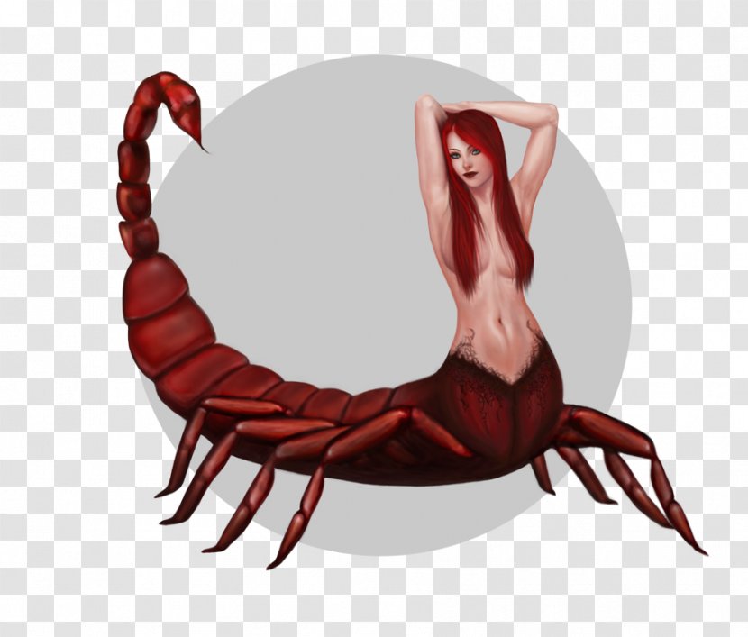 Scorpion Dungeness Crab Drawing Painting Art - Fiction Transparent PNG