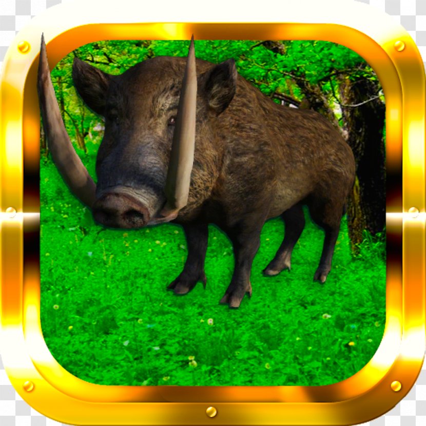 Domestic Pig Peccary Wildlife Animal Mammal - Boar Transparent PNG