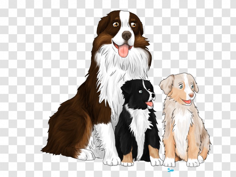 Dog Breed Puppy Bernese Mountain Great Pyrenees Companion Transparent PNG