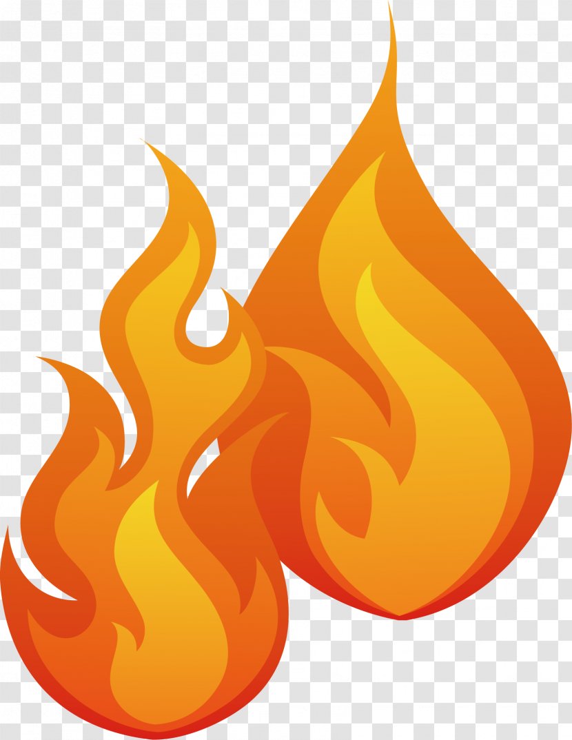 Flame Combustion Fire Clip Art - Burning Transparent PNG