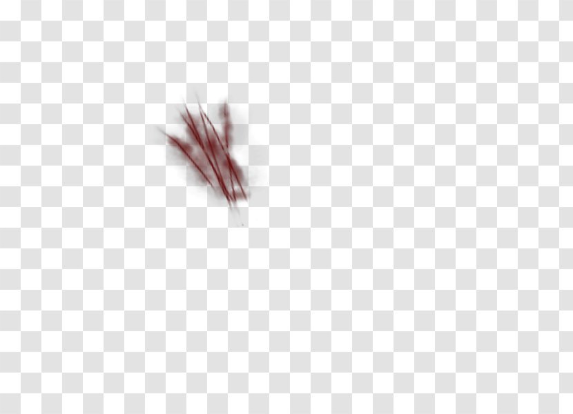 Close-up Maroon Wound - Closeup - Image Transparent Scratches Transparent PNG