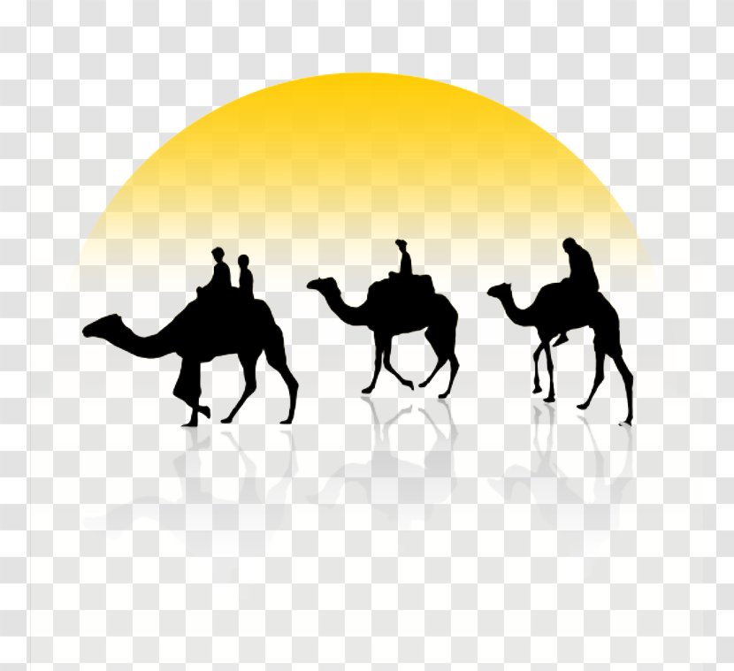 Bactrian Camel Dromedary Train Clip Art - Silhouette - Sunset Transparent PNG