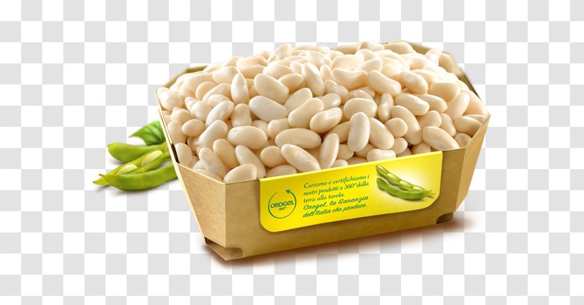 Peanut Vegetarian Cuisine Flavor Commodity - Food - Beans Vejitble Transparent PNG