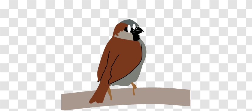 House Sparrow Bird Beak - Rich Burlew Transparent PNG