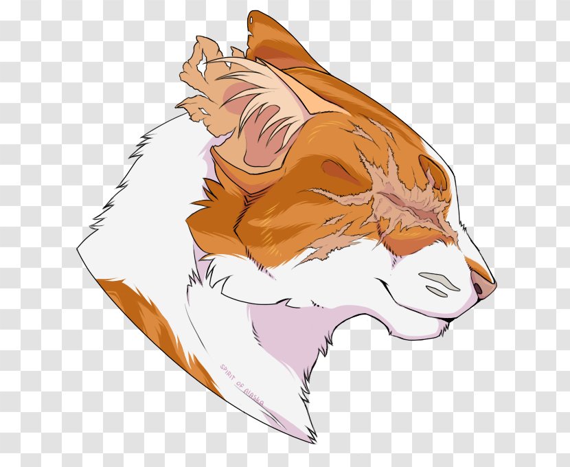 Whiskers Brightheart Cat Cloudtail Tiger - Cartoon - Warrior Drawings Transparent PNG