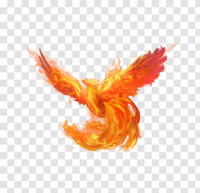 Download - Galliformes - Bath Fire Phoenix Transparent PNG