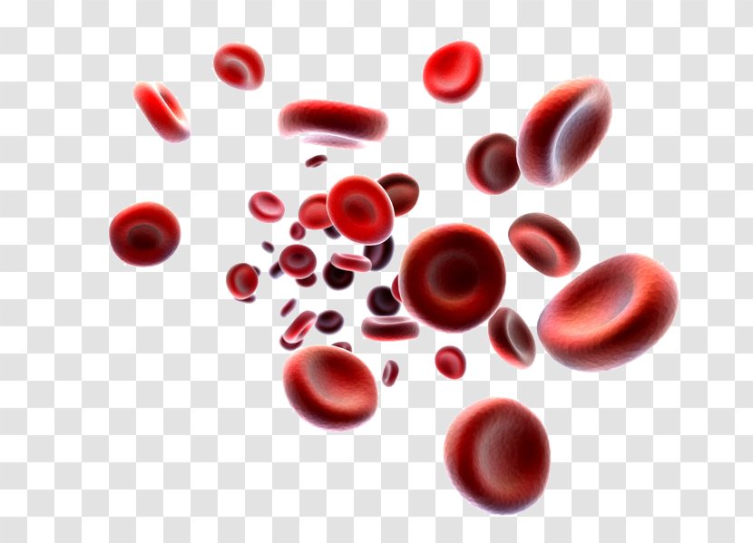 Platelet-rich Plasma Red Blood Cell White - Donation - Neck Bloodstain Transparent PNG