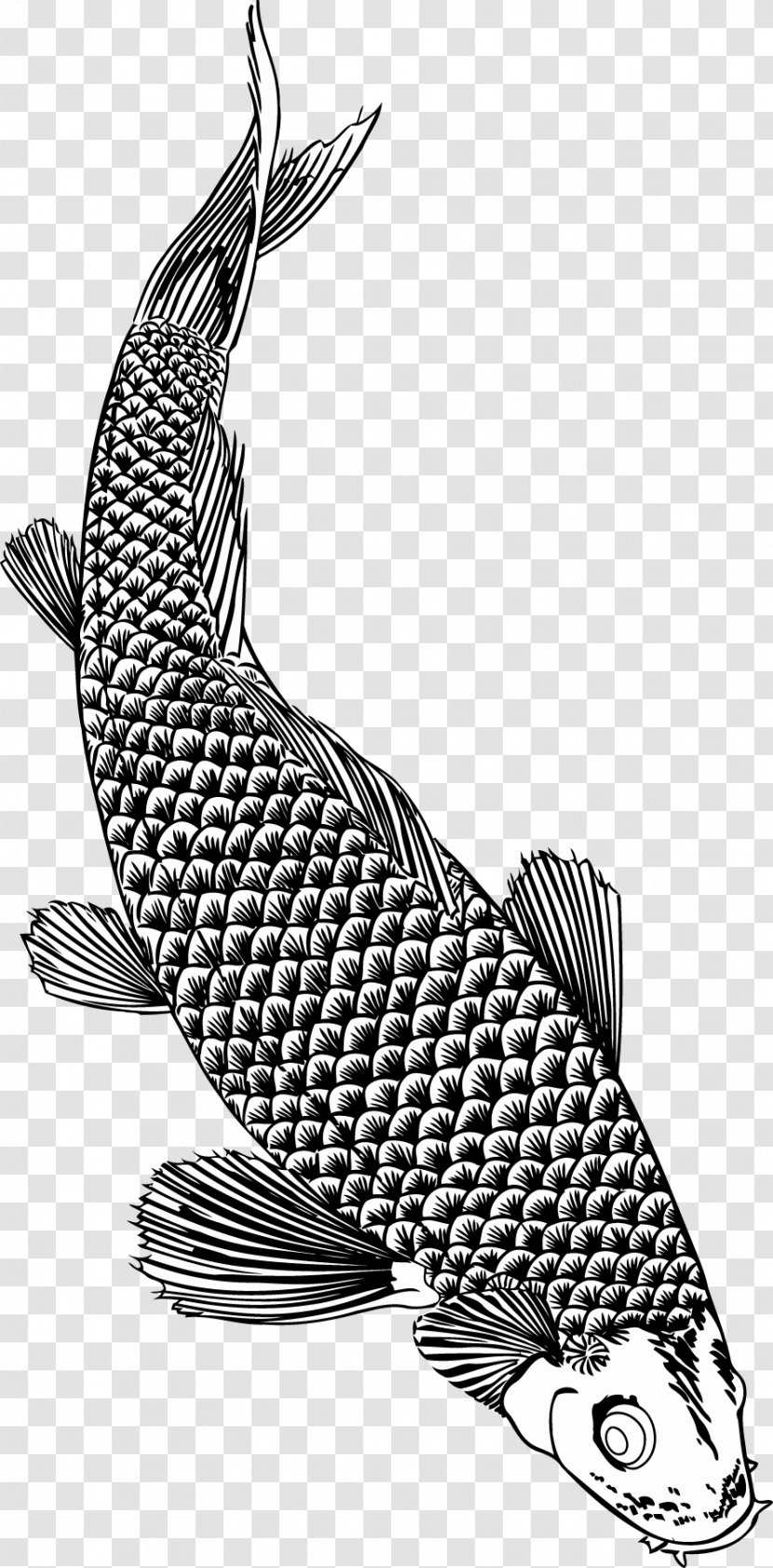 Fish Brush Monochrome Seafood - Tail - Koi Transparent PNG