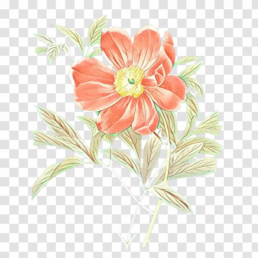 Flower Botanical Illustration Painting Floral Design - Petal Transparent PNG