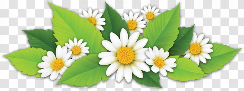 Melanin Flower Clip Art - Cartoon - Camomile Transparent PNG