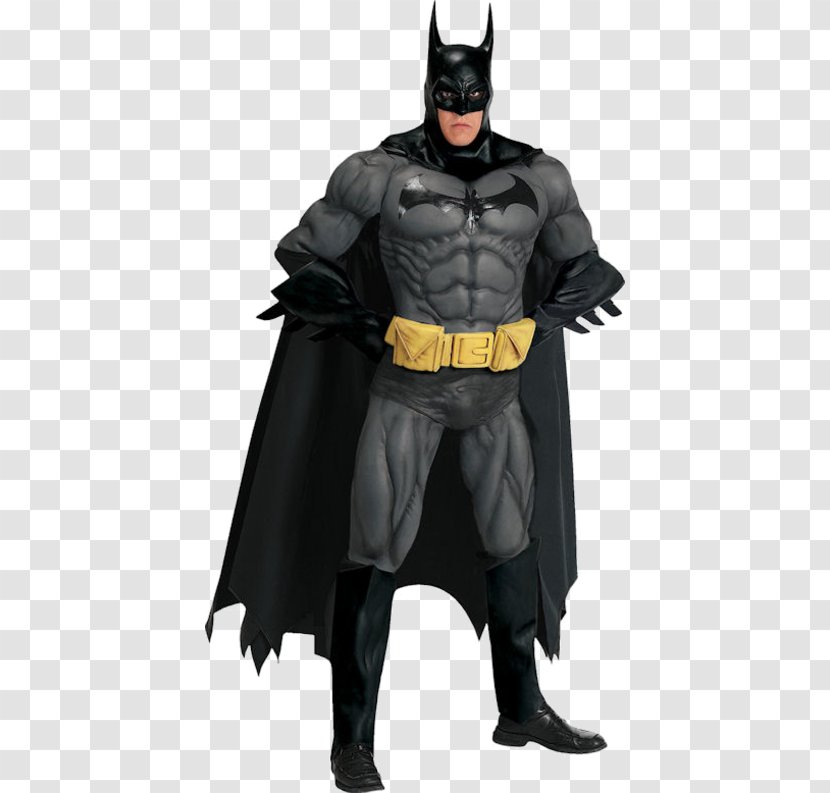 Batman Robin Costume Barbara Gordon Clothing - The Long Halloween Transparent PNG