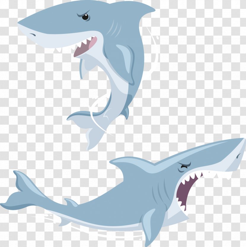 Shark Euclidean Vector - Whales Dolphins And Porpoises Transparent PNG