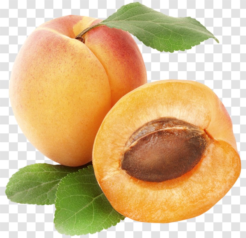 Apricot Fruit Clip Art - Natural Foods - Hand Emoji Transparent PNG