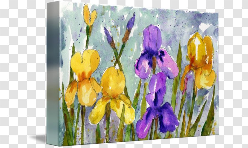 Irises Painting Water Lilies Crocus Iris Pseudacorus - Watercolor Paint Transparent PNG
