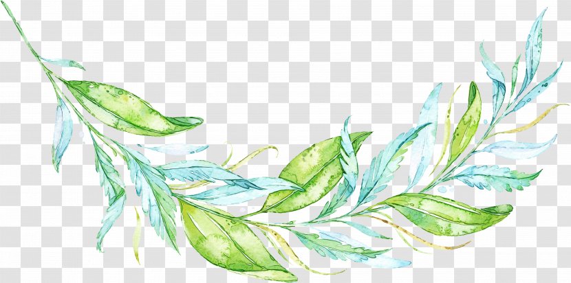 Watercolor Leaf - Photography - Feather Botany Transparent PNG