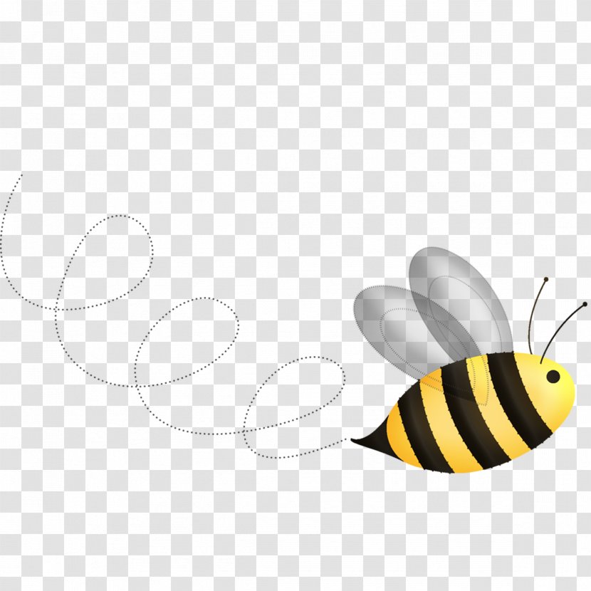 Honey Bee Insect - Invertebrate Transparent PNG