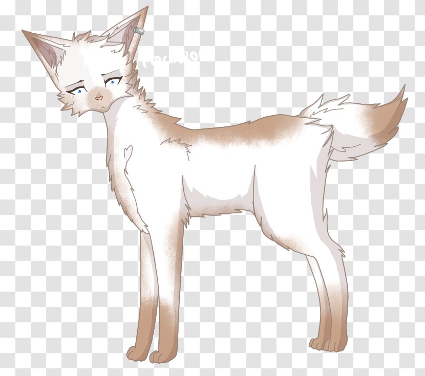 Whiskers Cat Jackal Character Line Art - Fictional Transparent PNG