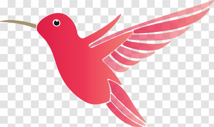 Hummingbird Transparent PNG