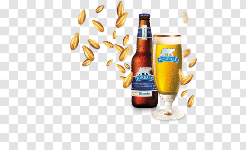 Beer Bottle Pilsner Les Brasseurs Du Nord Ale - Molson Canadian Transparent PNG