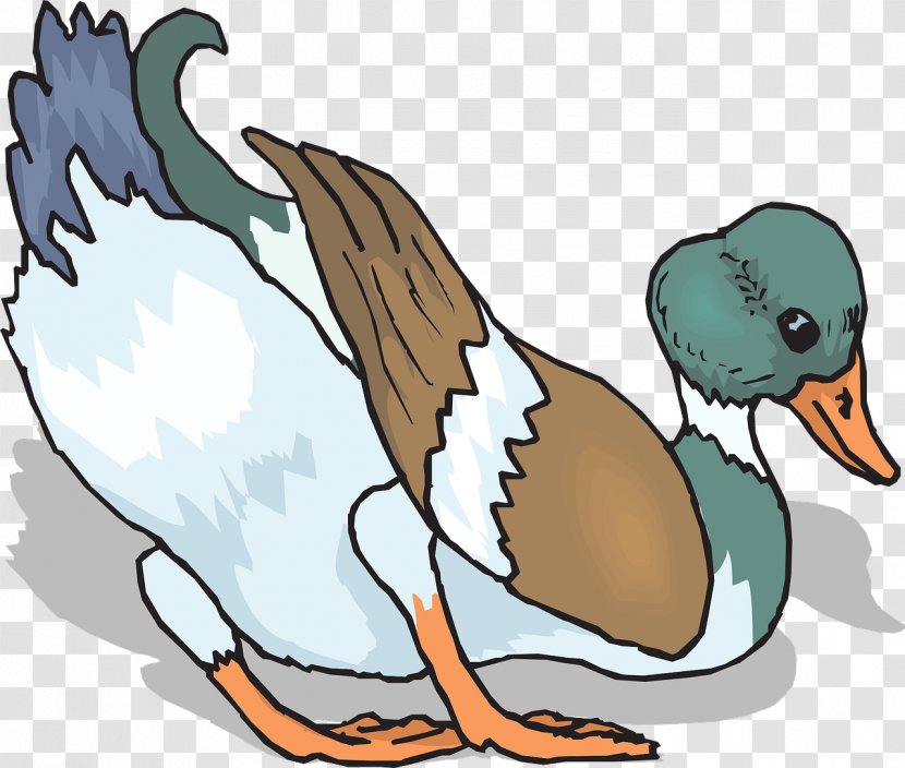Duck Bird Pixabay - Goose - Colored Transparent PNG