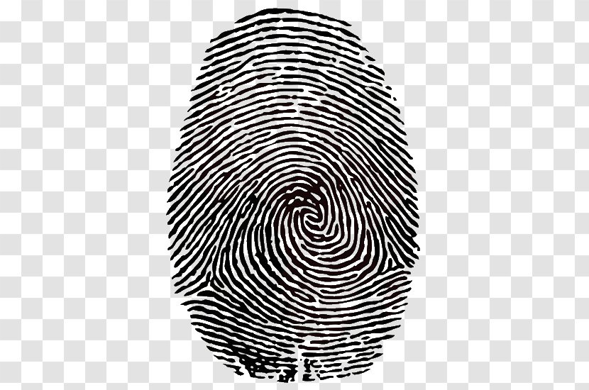 Fingerprint Clip Art - Symmetry - Identity Transparent PNG
