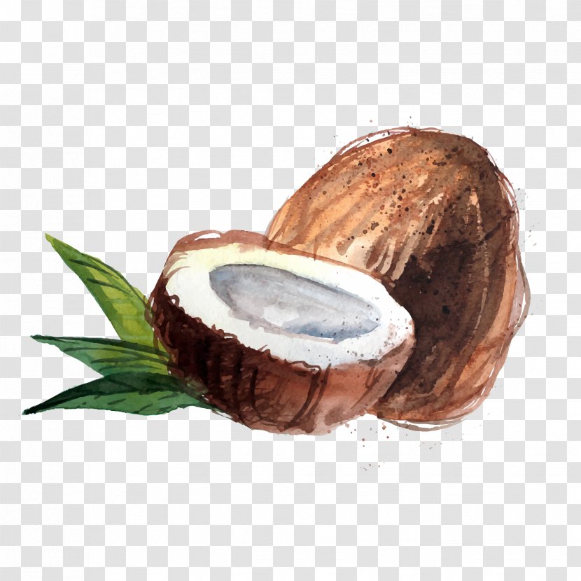 Coconut Water Raw Foodism Organic Food Oil - Watercolor Transparent PNG