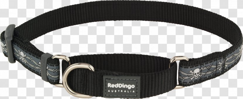 Dingo Dog Collar German Shepherd Belt - Buckle - Red Transparent PNG