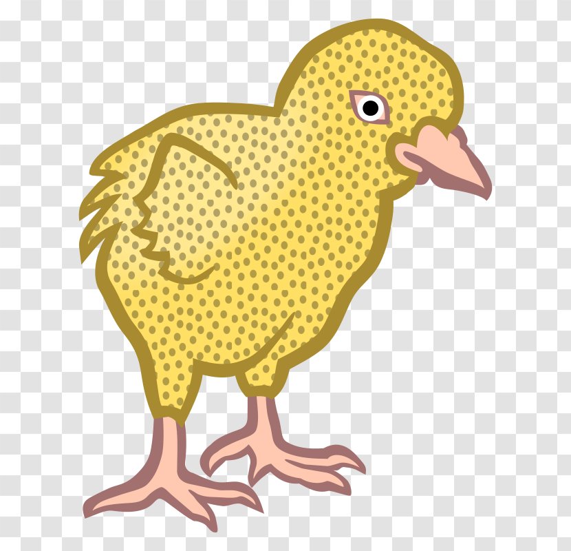 Orpington Chicken Ayam Cemani Australorp Leghorn Vector Graphics - Art Transparent PNG