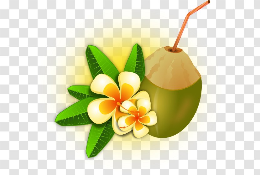 Cocktail Tropics Coconut Water Clip Art - Luau - Tropical Flower Transparent PNG