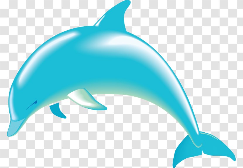 Bottlenose Dolphin Free Content Clip Art - Tucuxi - Swimming Cliparts Transparent PNG